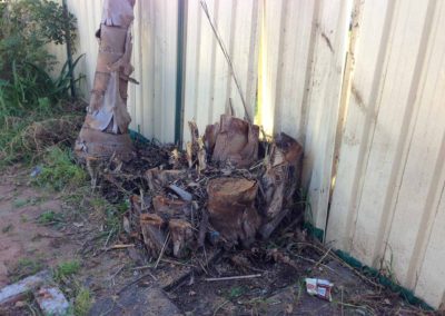 Fence falling down due to stumps