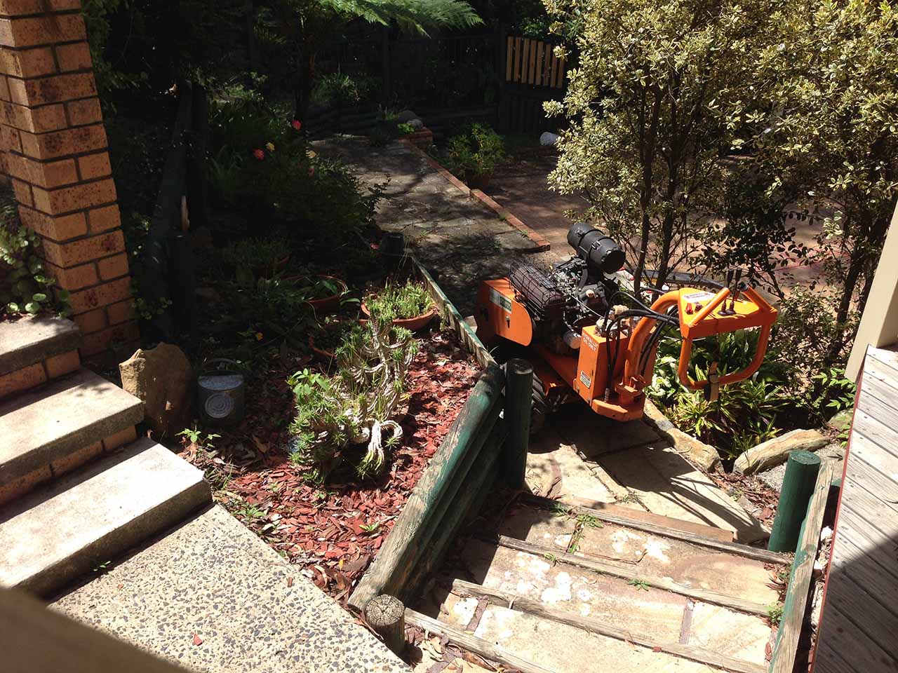 all areas access stump grinding Gosford