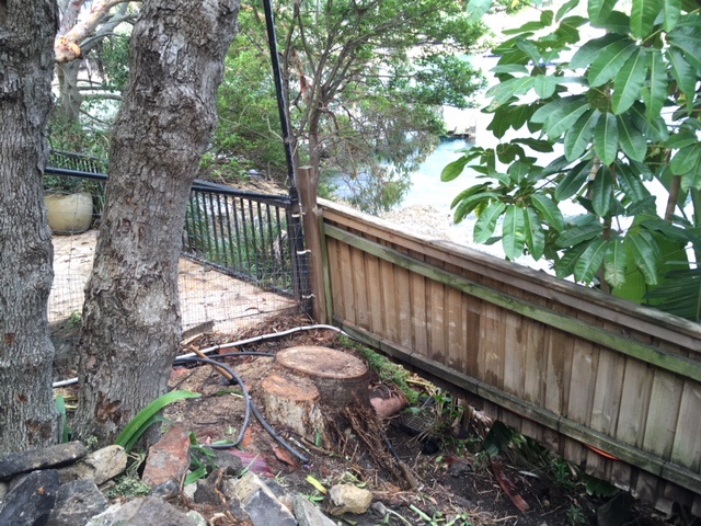 Stump Removal – Vaucluse, Sydney NSW