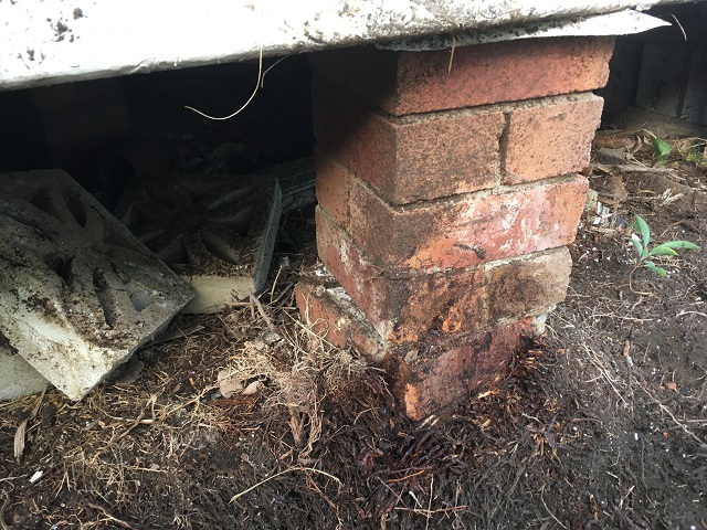 Palm tree stump removed from house in Cessnock