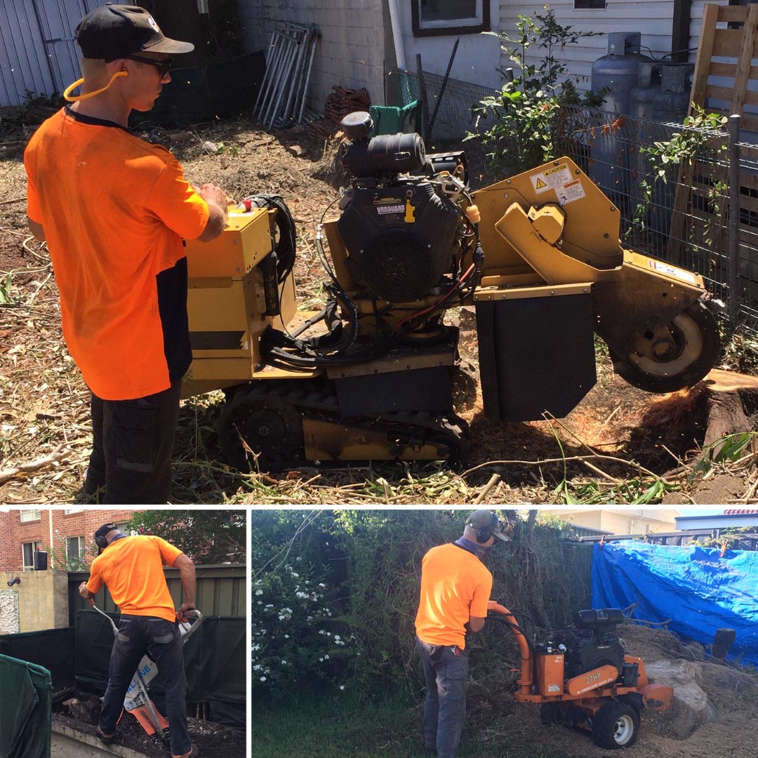 Newcastle Stump Grinding Services